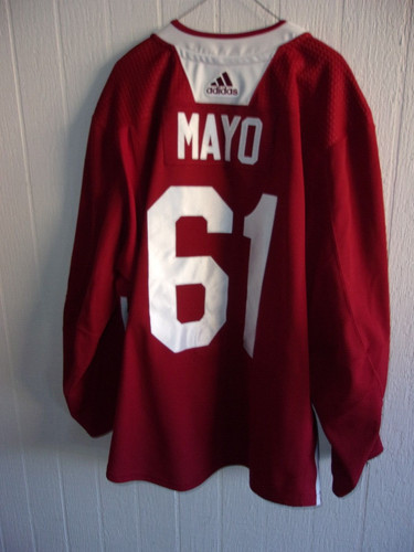Arizona coyotes dysin mayo - coyotes,